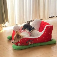 Timagebreze Festive Christmas Sleigh Pet Bed for Small Dogs and Cats, Holiday-Themed Cozy Pet Furniture